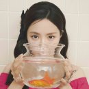 제이제이(JJ)디자인 이미지