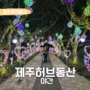2층야간코스 | 제주 허브동산 야간 후기 제주투어패스