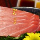 이어도참치 이미지