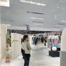 3월 일상모음 1