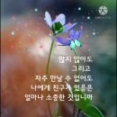 싼 게 비지떡의 진실은 외 4건 [서화정선생님의 카톡에서] 이미지