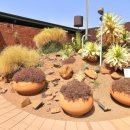 알로에테마파크 | 알로에테마파크 방문 후기: 자연 속의 힐링 여행