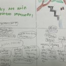 Why are rain forest important? 이미지