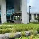 고양1호농장 이미지