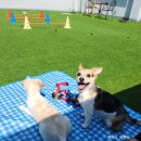 멍린이 회관 이미지