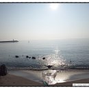 죽변초등학교 | 해안선따라 도보여행