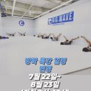 빅웨이브주짓수킥복싱