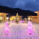 드위트리 풀빌라펜션 & 카라반가든 이미지