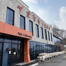 선사시대로 테마거리 | 서울 근교 나들이 - 포천 예술정원 1999 자연예술 테마파크 아이와 가볼 만한 곳 추천