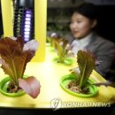 스마트팜 이미지
