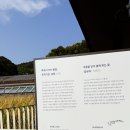 화담채