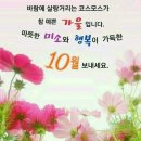 10월 1일(금) 어제 제천다녀 왔습니다 이미지