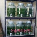 오석근농장 이미지