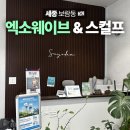 세종 엑소웨이브, 보람동 수예담에스테틱 팔뚝 슬리밍 관리 후기