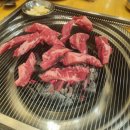 은행나무 갈매기 이미지