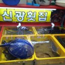 신광횟집