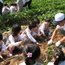 은주농장 이미지