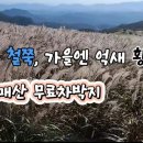 덕만주차장화장실 이미지