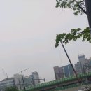 수택e편한세상센트럴파크아파트 앞 이미지