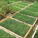 해송4로 이미지