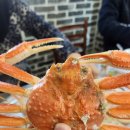 영덕 맛집, 순양호 영덕대게 직판장