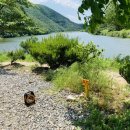 보현민박 이미지