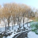 송성3리마을회관 이미지