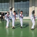 비연무예태권도 이미지