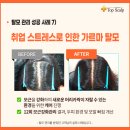 탑취업상담센터 이미지