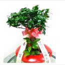 수원-매산-245 이미지