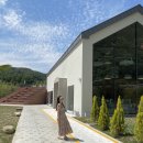 발레나식스 이미지