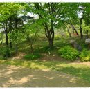 호암미술관 이미지