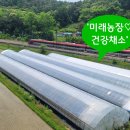호남선 농장 네이버블로그