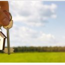 365시티공인중개사사무소 이미지