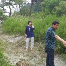 내촌초등학교 이미지