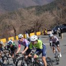 타이어프로오천점 | 미쉐린 프로5 TLR 2,000km 후기