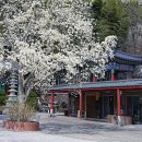 성암사 - 1619 | 성암사