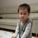 세영정육
