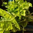 서서울(서울)졸음쉼터 이미지