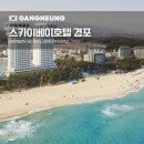 관동기획 | 스카이베이 경포호텔 조식 수영장 패키지 리뷰 가격 할인받은 후기