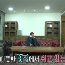 이브살로몬현대