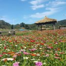 강원도 횡성군 횡성읍 삼일로 이미지