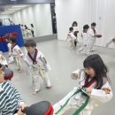 용인대호반태권도 이미지