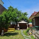 사우다지 운정 이미지