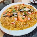 마장기사식당앞 | 포르투 맛집 Flor de Bragança｜포르투의 김밥천국 같은 전통 기사식당 후기