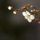 건천1천 이미지