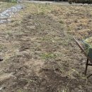 종구축사 이미지