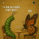 정도 이미지