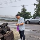 순례길 리본교체 참석(4코스 대정지역) 이미지