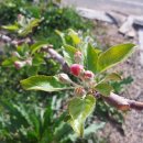 해뜨는농장 이미지